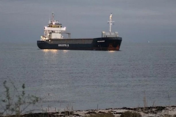 Нидерландски кораб, който превозва тор, заседна в датски води