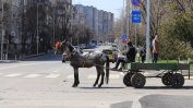 София ще "арестува" коне, готви тотална забрана за каруците