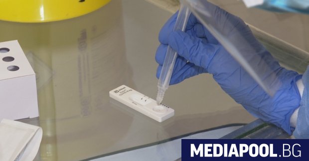Обясниха как ще бъдат тествани учениците за COVID-19 Обясниха как ще бъдат тествани учениците за COVID-19