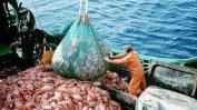 Франция задържа британски траулер в разгара на спора за риболова