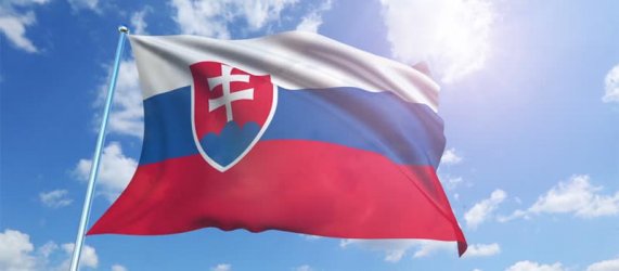Словакия се извини за насилственото стерилизиране на ромски жени