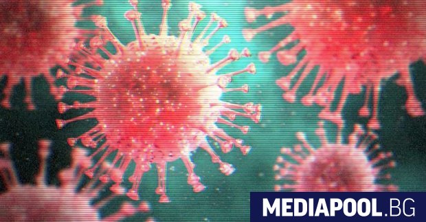 Новият вариант на коронавируса наречен Омикрон представлява много висок риск