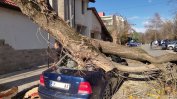 Ураганен вятър от 100 км/ч остави без ток села в областите Смолян и Сливен