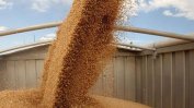 Държавата ще изкупува зърното, за да не бъде изнасяно