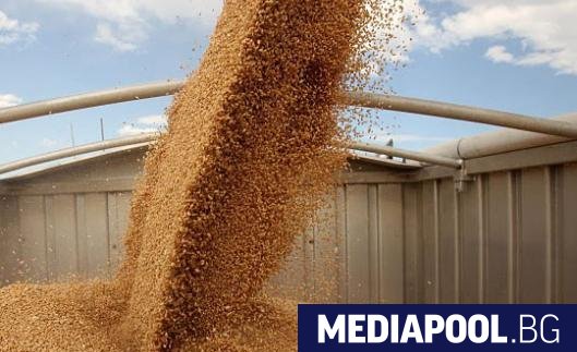 Националната асоциация на зърнопроизводителите обяви че няма да приеме незаконни