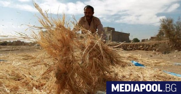 Украйна въведе експортни лицензи за ключови селскостопански стоки като пшеницата