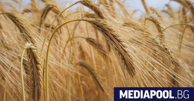 Министерство на земеделието ще предложи държавната фирма Врана ЕАД да