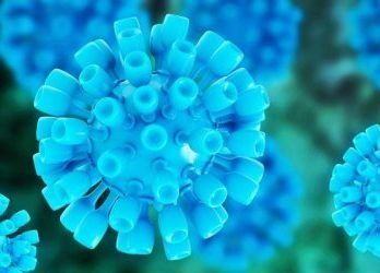 Аденовирус вероятно е причинител на случаите на остър хепатит при децата