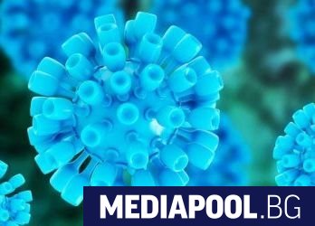 Аденовирусна инфекция вероятно е в основата на нарастващия брой случаи