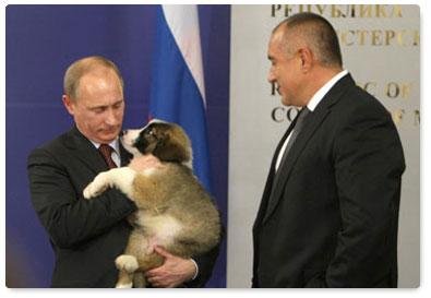 Путин с подареното от Борисов куче през 2010 година