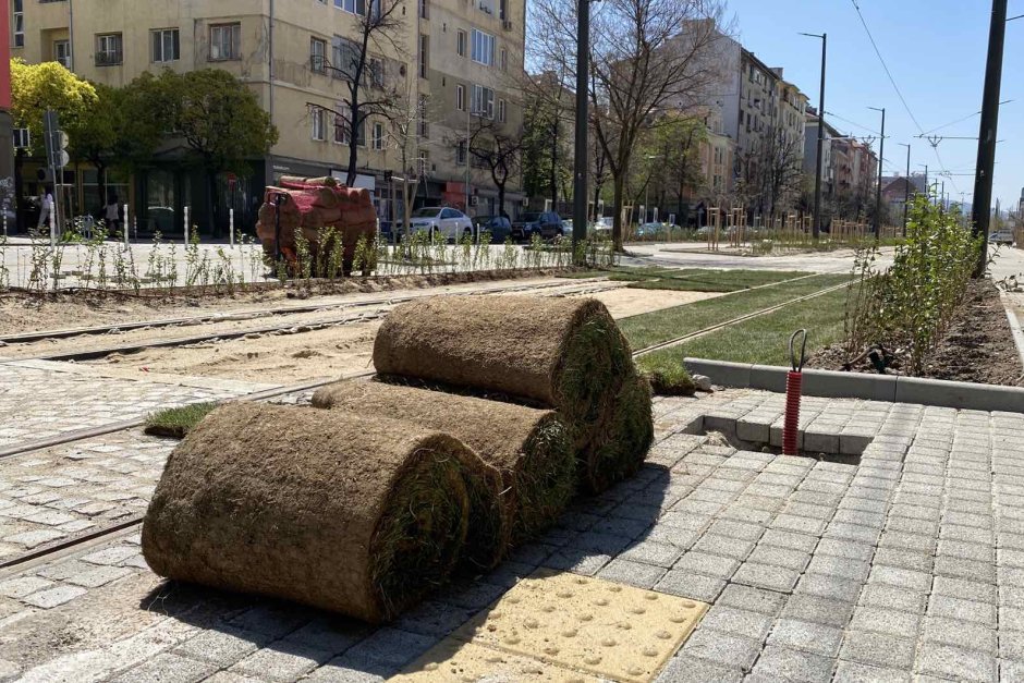 Зелени чимове по трасето на трамвай 5 на бул. "Македония"