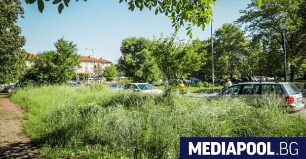 Косенето на тревата в район Красно село на столицата стана