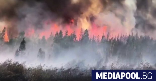 Опустошителните горски пожари в сибирския Красноярски край взеха седем жертви