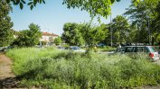 Еднометровата трева в "Красно село" сблъска районния кмет с Фандъкова