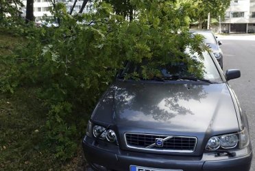 Силна буря в Алпите прекърши дървета и предизвика наводнения
