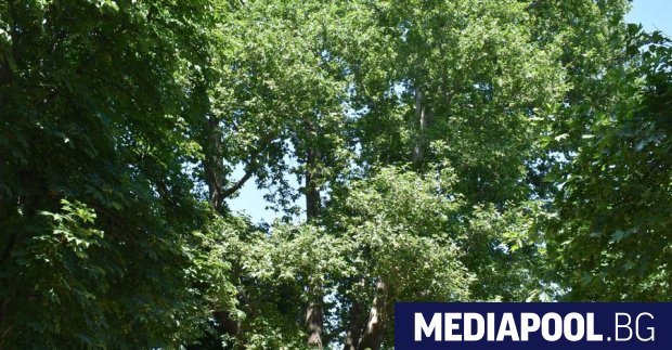 Министърът на околната среда и водите Борислав Сандов обяви за