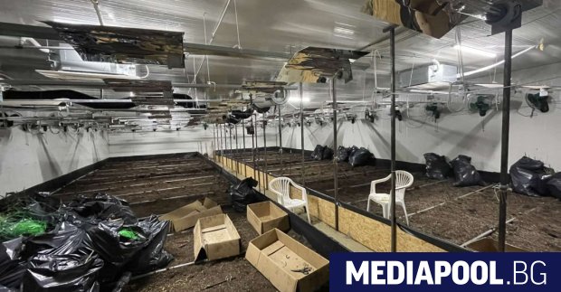 В Ботевград в петък е разкрита високотехнологична оранжерия за отглеждане