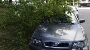 Силна буря в Алпите прекърши дървета и предизвика наводнения