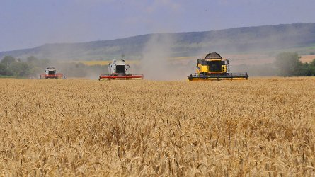 Реколтата от пшеница е добра, вносът от Украйна е пренебрежимо малък