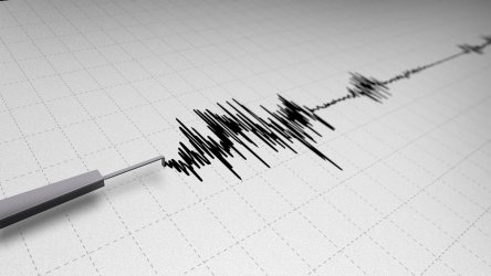 Най-малко пет жертви при силно земетресение в Иран