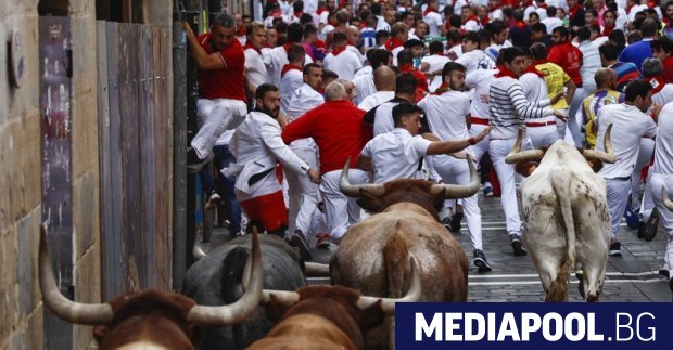 Бикове от известната испанска скотовъдна ферма Миура участваха вчера в