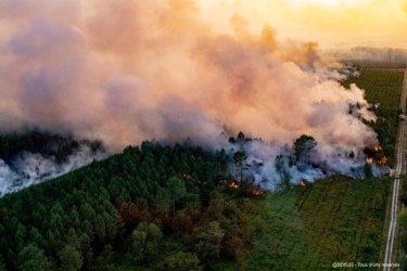 Нови пожари обхванаха Югоизточна Франция
