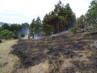 Локализиран е пожарът край пловдивското село Калояново, гасенето продължава