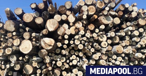 Служебният министърът на земеделието Явор Гечев ще издаде в сряда