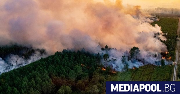 Противопожарни екипи продължават да се борят с пожар в националния