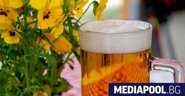 Изпитите количества безалкохолна бира в България отбелязват 22% растеж през
