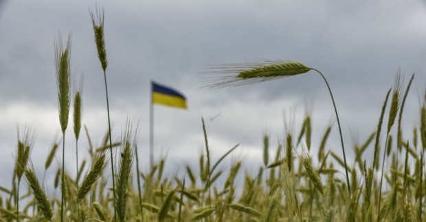 Украйна продължава усилията за възстановяване на износа на зърно през