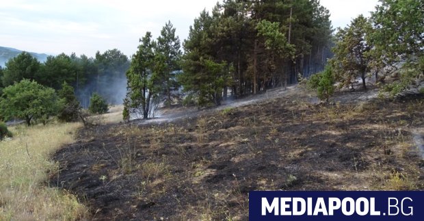 Продължава гасенето на големия пожар в община Калояново Вчера следобед