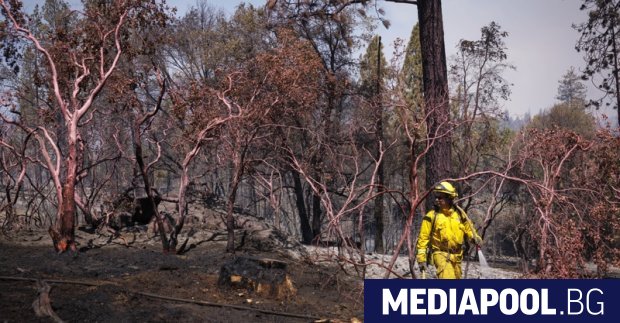Големият пожар близо до националния парк Йосемити в американския щат