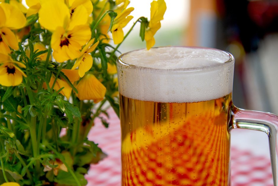 Консумацията на безалкохолна бира у нас с ръст от 22%