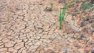 Превръща ли се Румъния в балканска Сахара“?