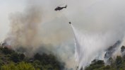 Много от горските пожари в Испания бяха овладени, остров Тенерифе продължава да гори