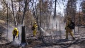 Пожарникарите овладяват големия пожар в Калифорния