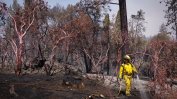 Голям пожар до националния парк Йосемити в Калифорния бушува трети ден извън контрол