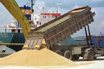 Земеделският министър: Украинското жито е безопасно