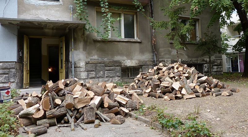Агенцията по горите засилва проверките за снабдяване с дърва