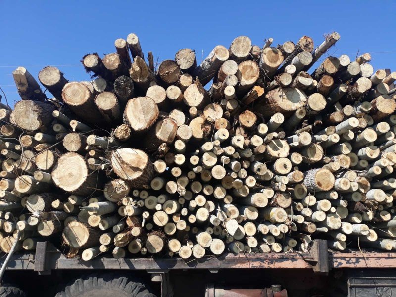 Дървопреработватели обещават да намалят производството си, за да има дърва за населението