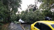 Силна буря удари Бургаско, Поморие е без ток (видео)