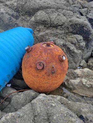 Откритата и взривена мина край Маслен нос Снимка: ВМС