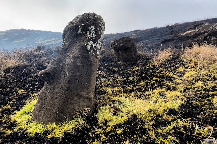 Пожар увреди емблематичните статуи на Великденския остров