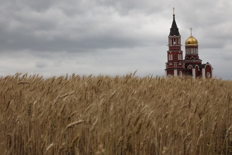 Зърното поскъпна на международните пазари заради войната в Украйна