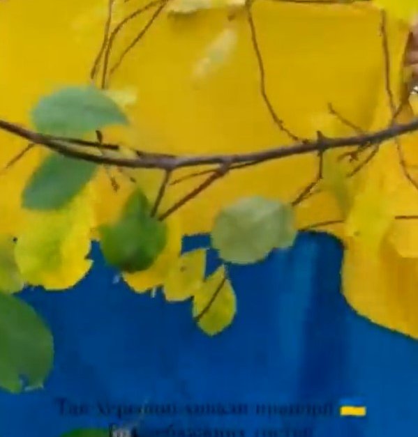 Жителка на Херсон извади украинското знаме, скрито в градината й (видео)
