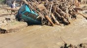 Кметът на Карлово иска помощ от агроминистъра за "безплатните" дърва