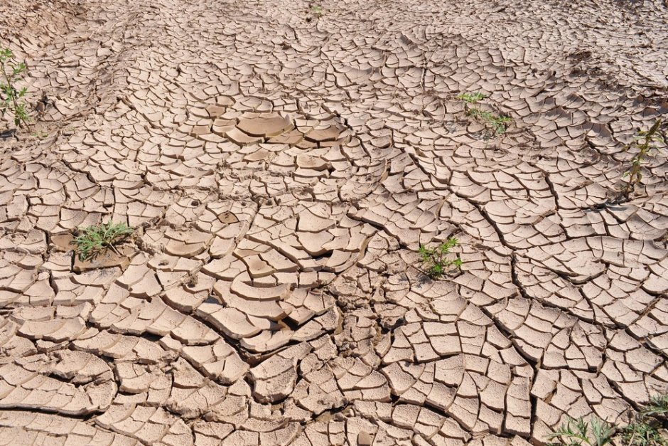 Една трета от сушата на Земята е деградирала от природни катаклизми