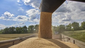 Русия отчете рекордна зърнена реколта, включвайки и анексираните части от Украйна