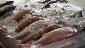 Тест намери опасно вещество в 23% от рибата на пазара в София преди Никулден